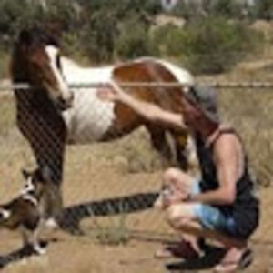 Meet your Posher, Sean